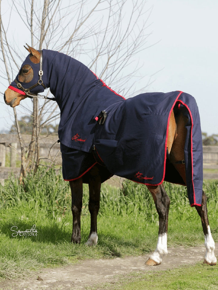 Earlwood Cotton Rug Navy & Red-RUGS: Summer Rugs, Neck Rugs & Hoods-Ascot Saddlery