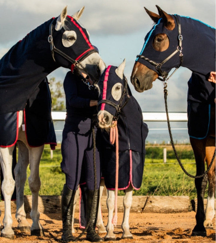 Earlwood Cotton Rug Navy & Red-RUGS: Summer Rugs, Neck Rugs & Hoods-Ascot Saddlery