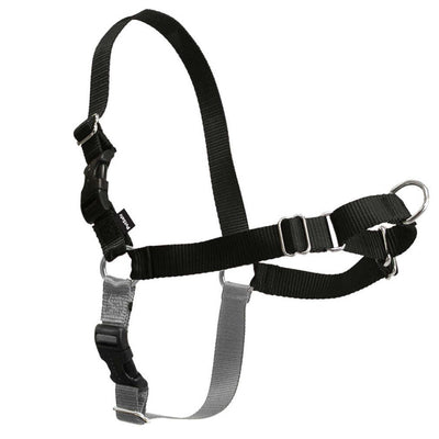 Easy Walk Harness Black-Dog Collars & Leads-Ascot Saddlery
