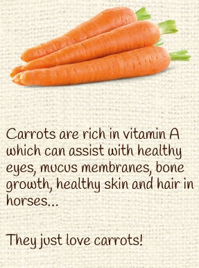 Equine Pure Delights Treat Carrot Mint Turmeric Chia-STABLE: Horse Treats & Toys-Ascot Saddlery