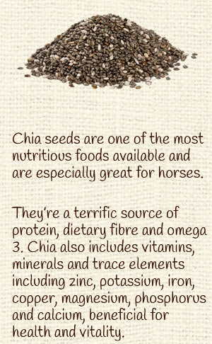 Equine Pure Delights Treat Carrot Mint Turmeric Chia-STABLE: Horse Treats & Toys-Ascot Saddlery