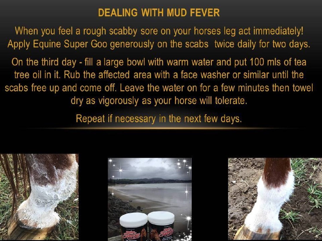 Equine Super Goo Topical Ointment 500ml-STABLE: First Aid & Dressings-Ascot Saddlery