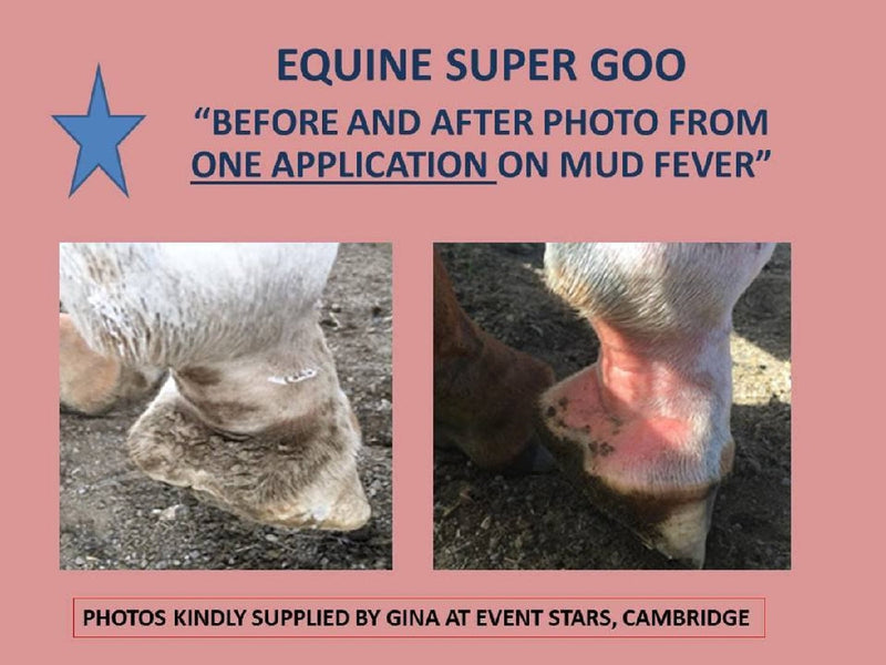 Equine Super Goo Topical Ointment 500ml-STABLE: First Aid & Dressings-Ascot Saddlery