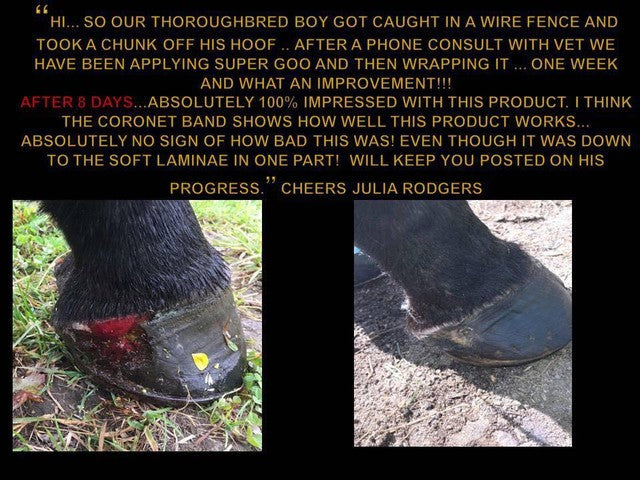 Equine Super Goo Topical Ointment 500ml-STABLE: First Aid & Dressings-Ascot Saddlery