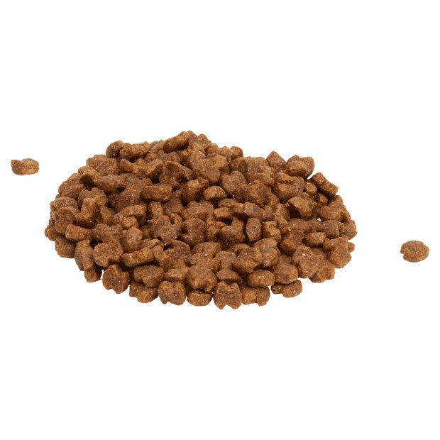 Eukanuba Dog Adult Large Breed 15kg-Dog Food-Ascot Saddlery