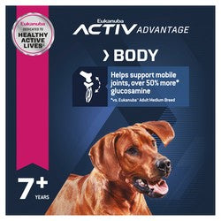 Eukanuba Dog Senior Large Breed 14kg-Dog Food-Ascot Saddlery