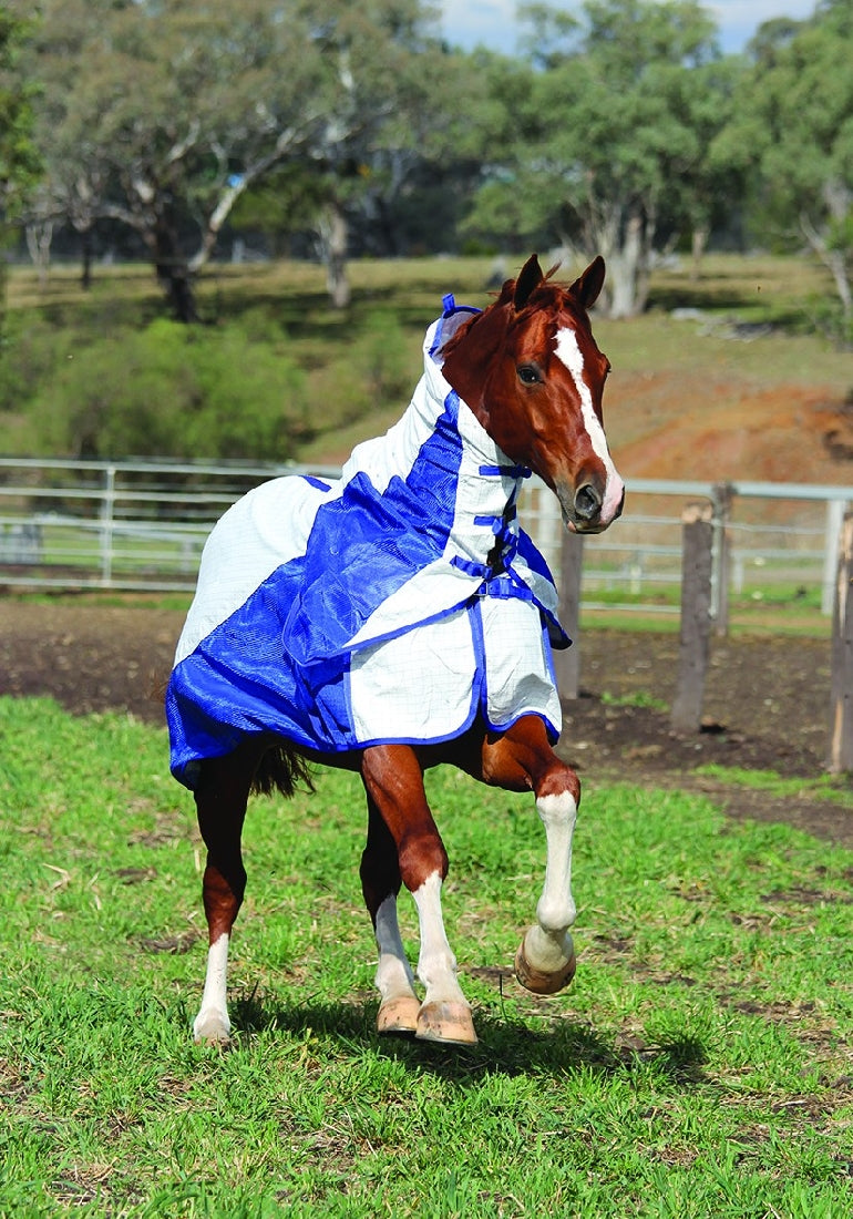Eurohunter Airflow Combo-RUGS: Summer Rugs, Neck Rugs & Hoods-Ascot Saddlery