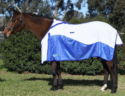 Eurohunter Airflow Rug-RUGS: Summer Rugs, Neck Rugs & Hoods-Ascot Saddlery