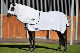 Eurohunter Flag Hood-RUGS: Summer Rugs, Neck Rugs & Hoods-Ascot Saddlery