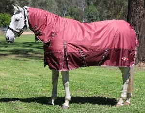 Explorer 200 Combo Zilco-RUGS: Winter Rugs, Neck Rugs & Hoods-Ascot Saddlery