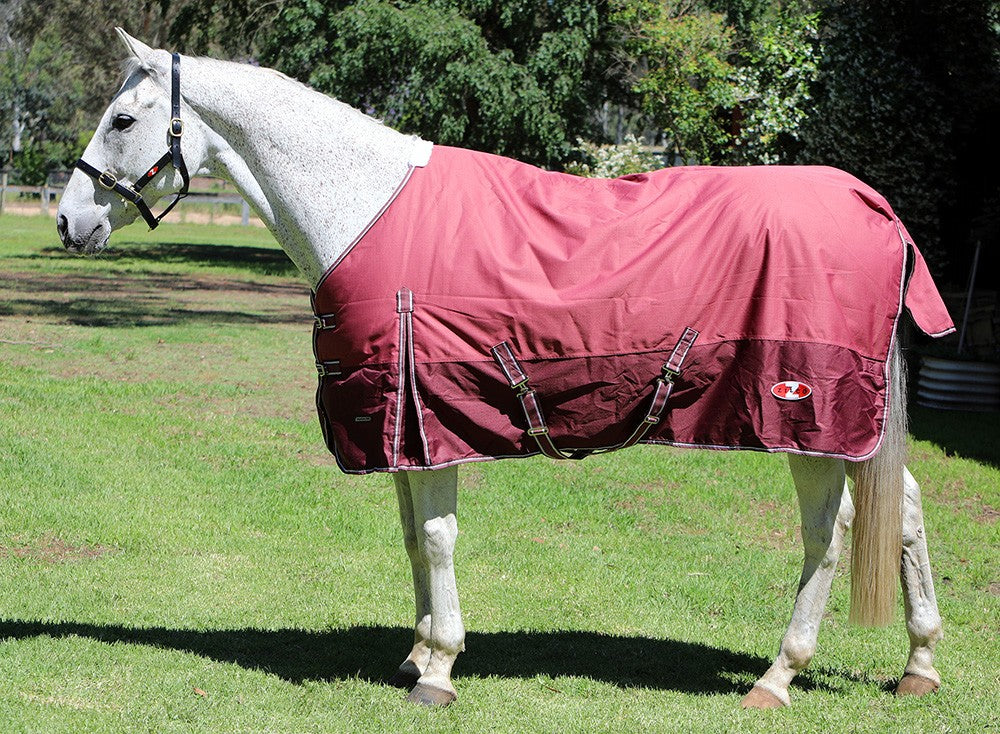 Explorer 200 Rug Zilco-RUGS: Winter Rugs, Neck Rugs & Hoods-Ascot Saddlery