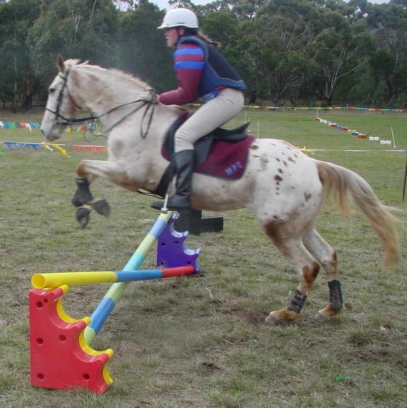 Ferrari Jump Start Each-STABLE: Jumps & Markers-Ascot Saddlery