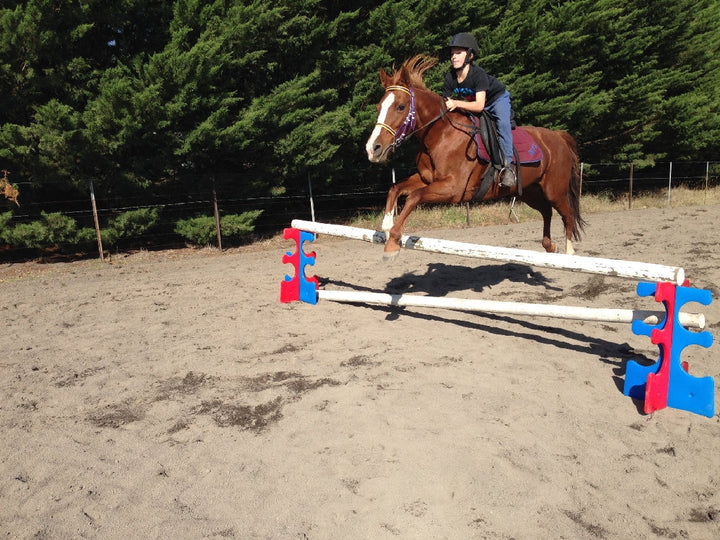 Ferrari Smart Jump-STABLE: Jumps & Markers-Ascot Saddlery