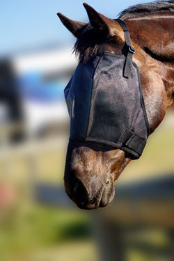 Flyveils By Design Mesh Fly Mask Black-HORSE: Flyveils & Bonnets-Ascot Saddlery