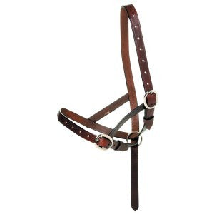 Foal Catcher Leather Foal Weanling-HORSE: Headstalls-Ascot Saddlery