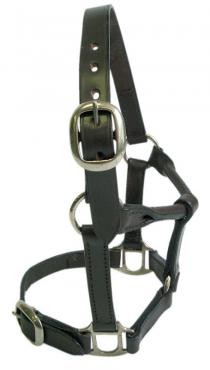 Foal Headstall Leather Brown-HORSE: Headstalls-Ascot Saddlery