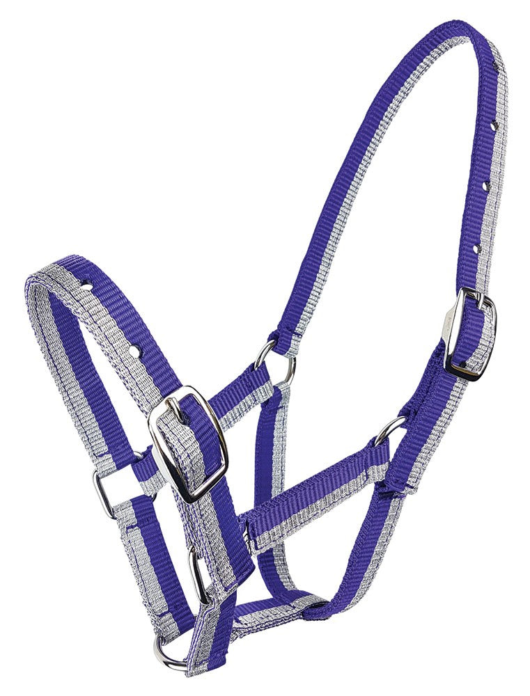 Foal Headstall Sparkle Purple & Silver-HORSE: Headstalls-Ascot Saddlery