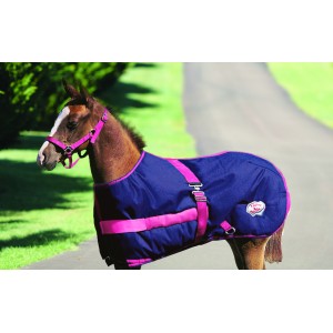 Foal Rug Growing Thermomaster Navy & Pink-RUGS: Winter Rugs, Neck Rugs & Hoods-Ascot Saddlery