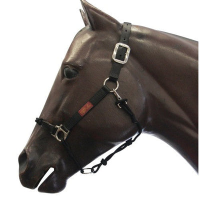 Fort Worth Hybrid Halter Nylon Black-HORSE: Headstalls-Ascot Saddlery