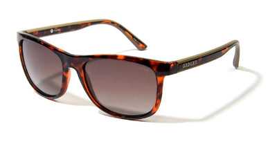 Gidgee Fender Sunglasses Amber Tortoise Frame & Brown Polar Gradient Lens-RIDER: Glasses & Goggles-Ascot Saddlery