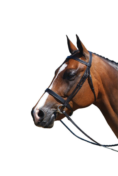 Grainge Bridle Flat Show Leather Black-HORSE: Bridles-Ascot Saddlery