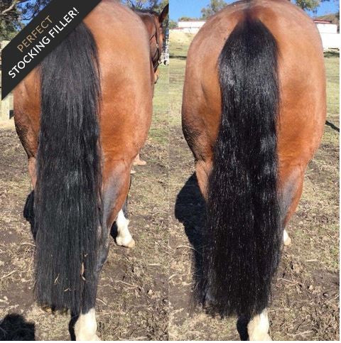 Hairy Pony 2 In 1 Detangle & Shine Spray Watermelon 125ml-STABLE: Show Preparation-Ascot Saddlery