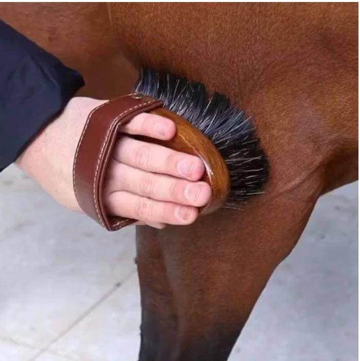Hairy Pony Brush Dandy-STABLE: Grooming-Ascot Saddlery