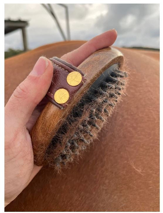 Hairy Pony Brush Rubber-STABLE: Grooming-Ascot Saddlery