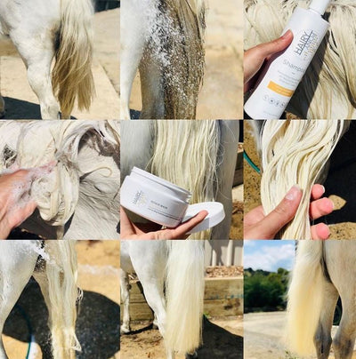 Hairy Pony Hair Repair Tub 250ml-STABLE: Show Preparation-Ascot Saddlery