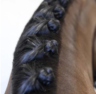 Hairy Pony Mane Sectioning Comb-STABLE: Grooming-Ascot Saddlery