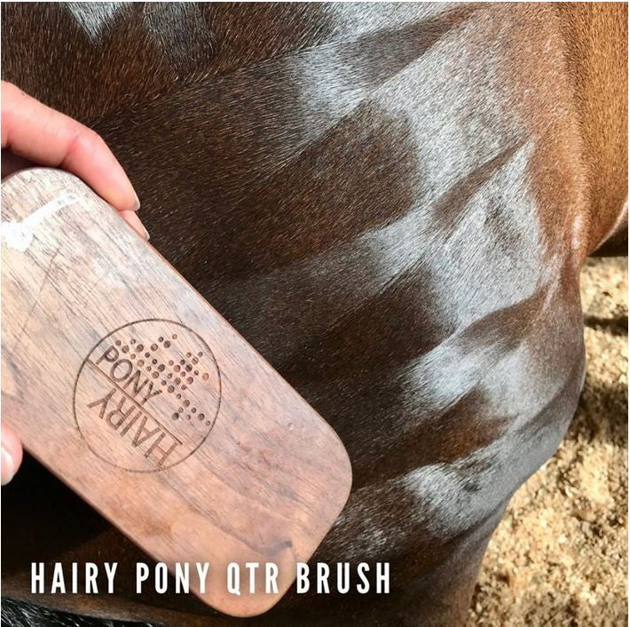 Hairy Pony Quarter Mark Brush-STABLE: Grooming-Ascot Saddlery