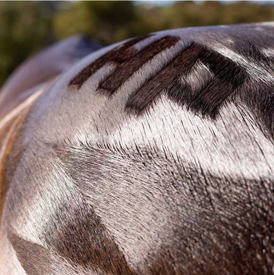 Hairy Pony Quarter Mark Brush-STABLE: Grooming-Ascot Saddlery