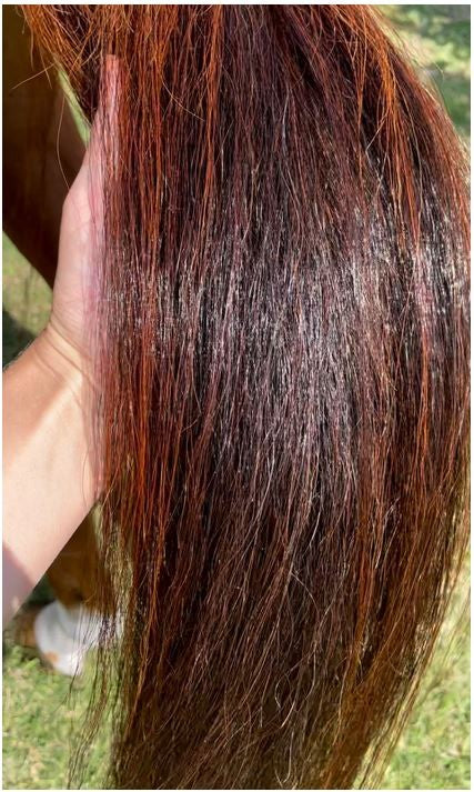 Hairy Pony Silky Serum-STABLE: Show Preparation-Ascot Saddlery