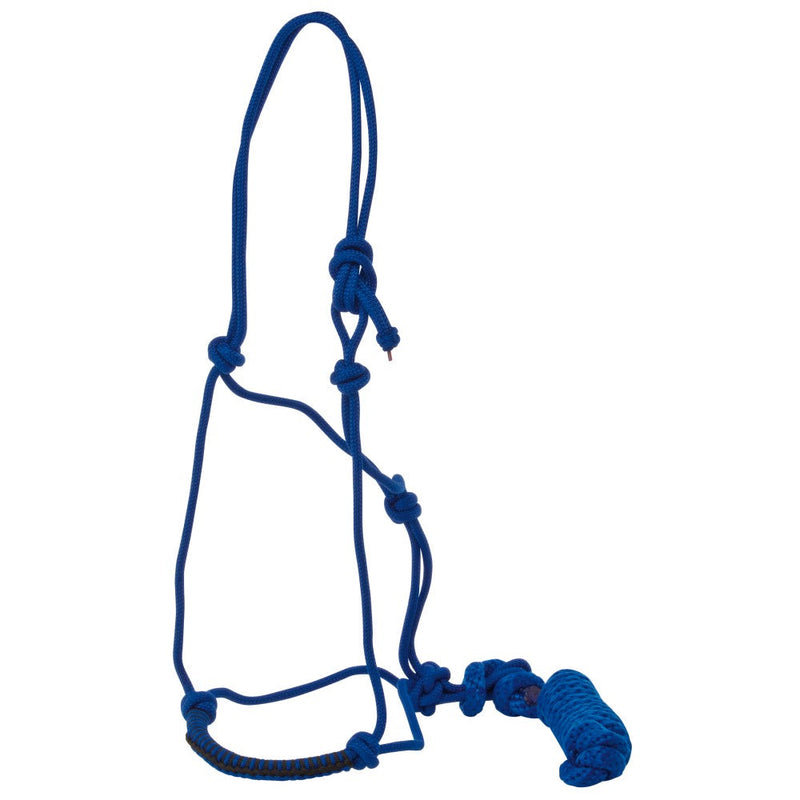 Halter Knotted Rope & Lead Stc-HORSE: Headstalls-Ascot Saddlery