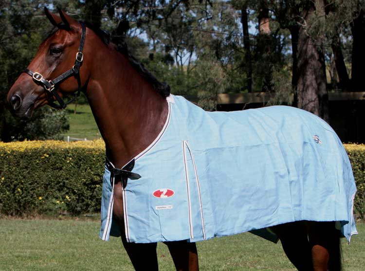 Hamilton Rug Zilco-RUGS: Summer Rugs, Neck Rugs & Hoods-Ascot Saddlery