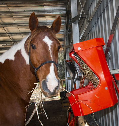 Hay Rack Feeder & Lid Agboss Blue-STABLE: Feed Bins & Hay Bags-Ascot Saddlery