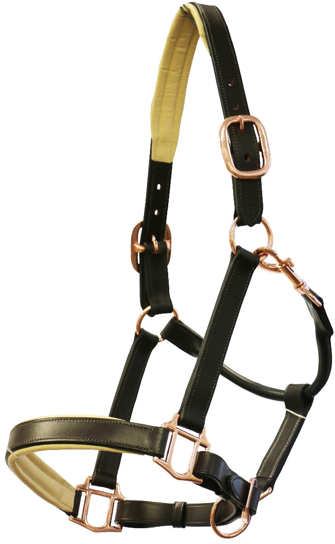 Headstall Leather Padded Jeremy & Lord Rose Gold Brown-HORSE: Headstalls-Ascot Saddlery