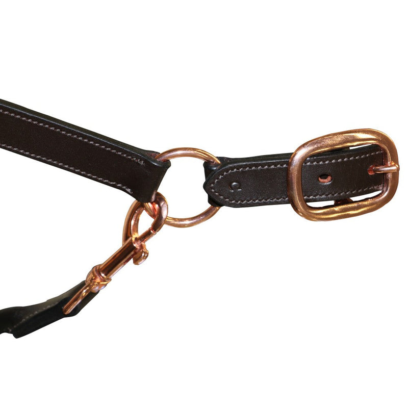 Headstall Leather Padded Jeremy & Lord Rose Gold Brown-HORSE: Headstalls-Ascot Saddlery