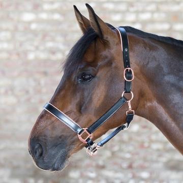 Headstall Leather Rose Gold Black-HORSE: Headstalls-Ascot Saddlery
