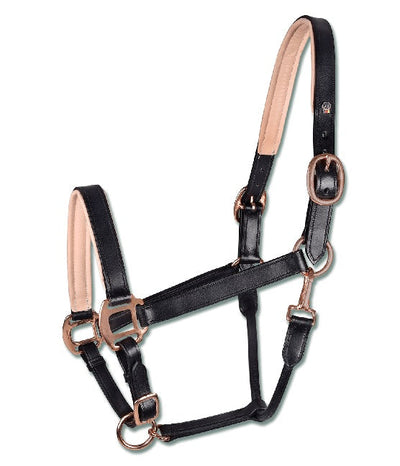 Headstall Leather Rose Gold Black-HORSE: Headstalls-Ascot Saddlery