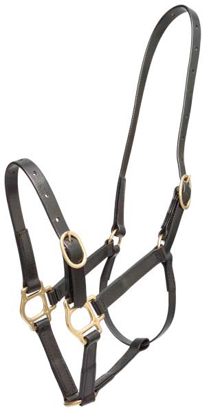 Headstall Plastic Zilco 19mm Black-HORSE: Headstalls-Ascot Saddlery