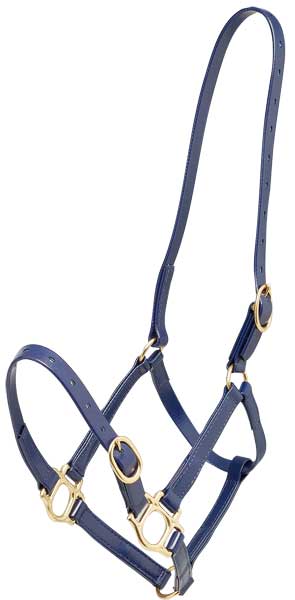 Headstall Plastic Zilco 19mm Blue-HORSE: Headstalls-Ascot Saddlery