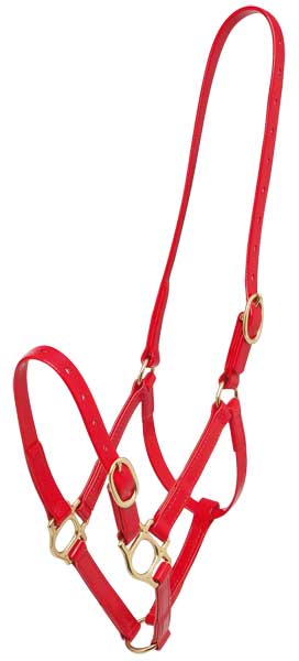 Headstall Plastic Zilco 19mm Red-HORSE: Headstalls-Ascot Saddlery