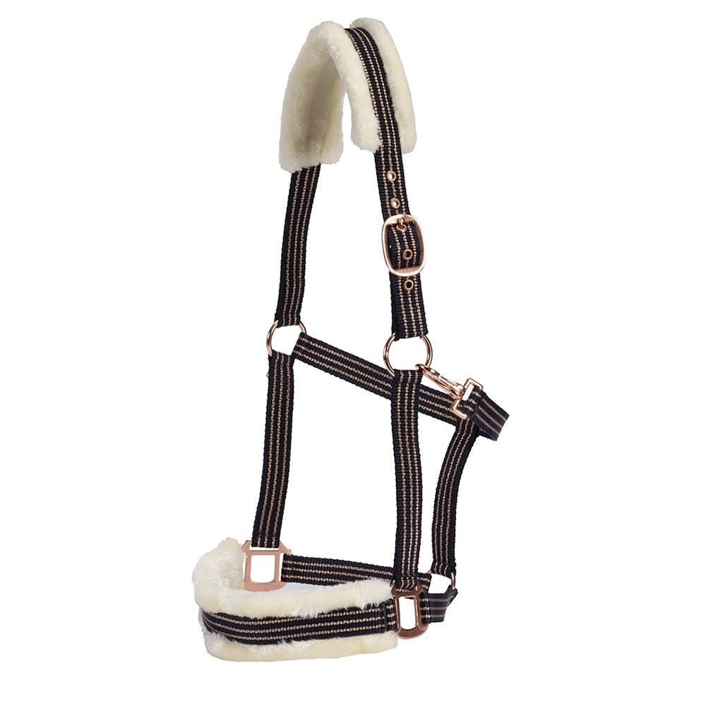 Headstall Webbing Fleece Padded Navy & Gold-HORSE: Headstalls-Ascot Saddlery