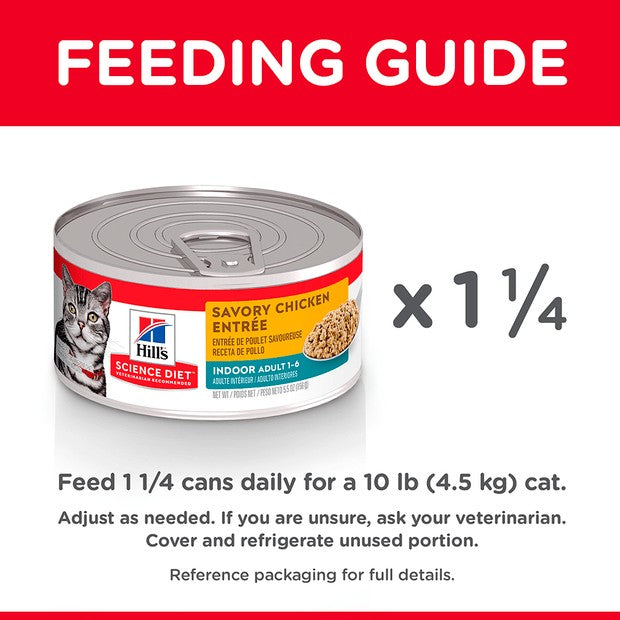 Hills Cat Wet Can Kitten Healthy Cuisine Roasted Chicken & Rice 79gm-Cat Food & Treats-Ascot Saddlery