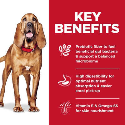 Hills Dog Adult Sensitive Stomach & Skin Large Breed 13.6kg-Dog Food-Ascot Saddlery