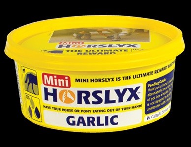 Horslyx Garlic Mini Vitamin & Mineral Lick 650gm-STABLE: Supplements-Ascot Saddlery