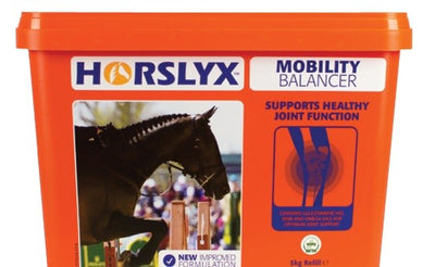 Horslyx Mobility Vitamin & Mineral Lick 5kg-STABLE: Supplements-Ascot Saddlery