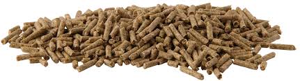 Hygain Ice Cool 20kg-STABLE: Horse Feed-Ascot Saddlery