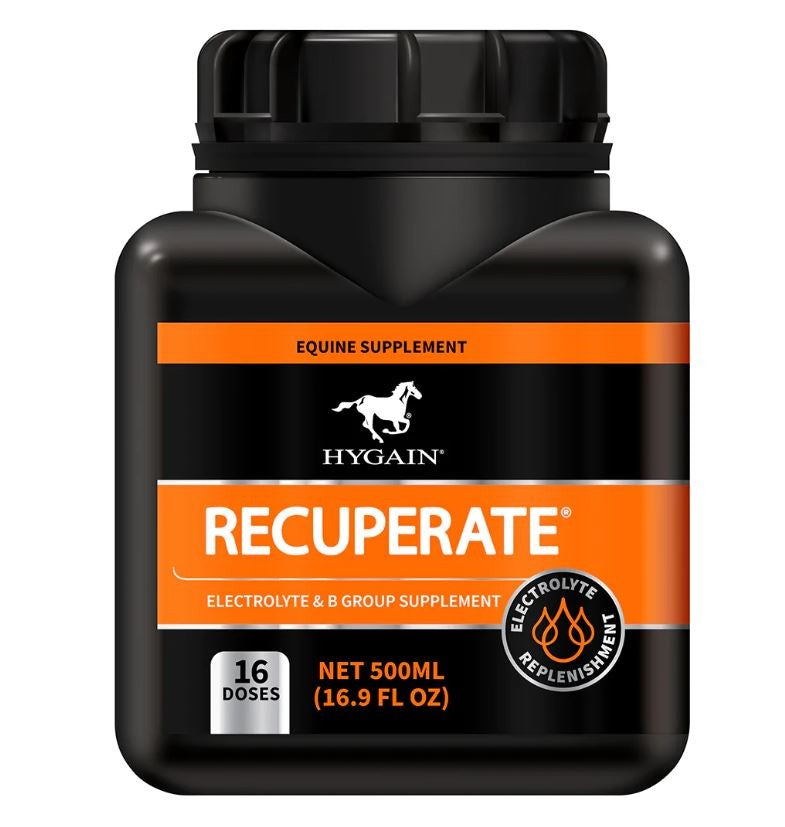 Hygain Supplement Recuperate 500ml-STABLE: Supplements-Ascot Saddlery